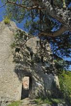 Ruine Homburg Wohnturm Eingang